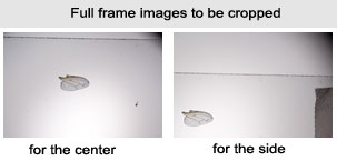 full frame